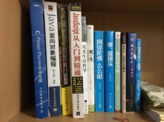 中国书籍翻译成英文用拼音国外大师