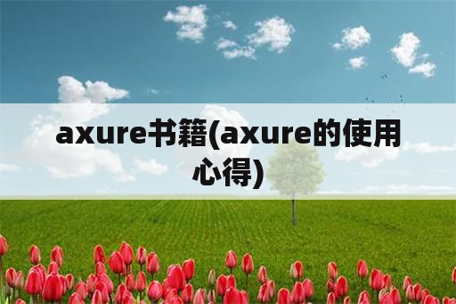 axure书籍(axure的使用心得)