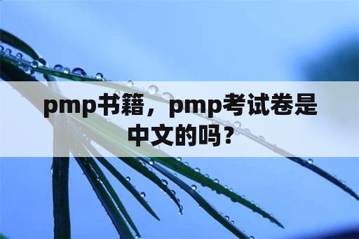 pmp书籍，pmp考试卷是中文的吗？