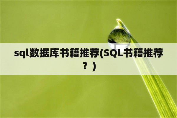 sql数据库书籍推荐(SQL书籍推荐？)