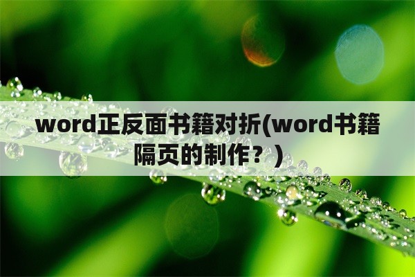 word正反面书籍对折(word书籍隔页的制作？)
