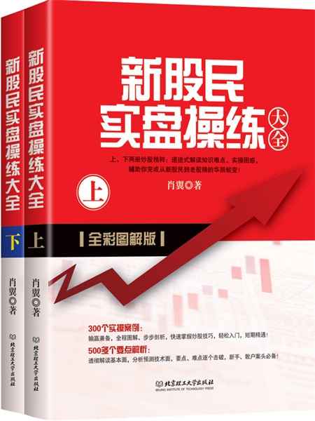 股票书籍技术分析(关于股票技术分析的书)