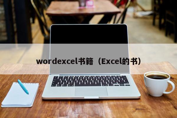 wordexcel书籍（Excel的书）