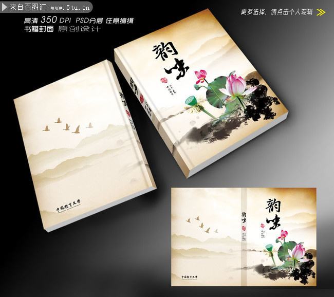 中国风书籍封面设计(中国书籍封面设计欣赏)