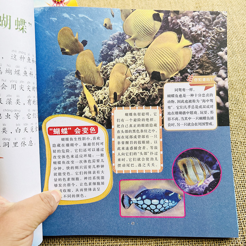 海洋生物书籍儿童小学生(关于海洋的书籍有哪些儿童)